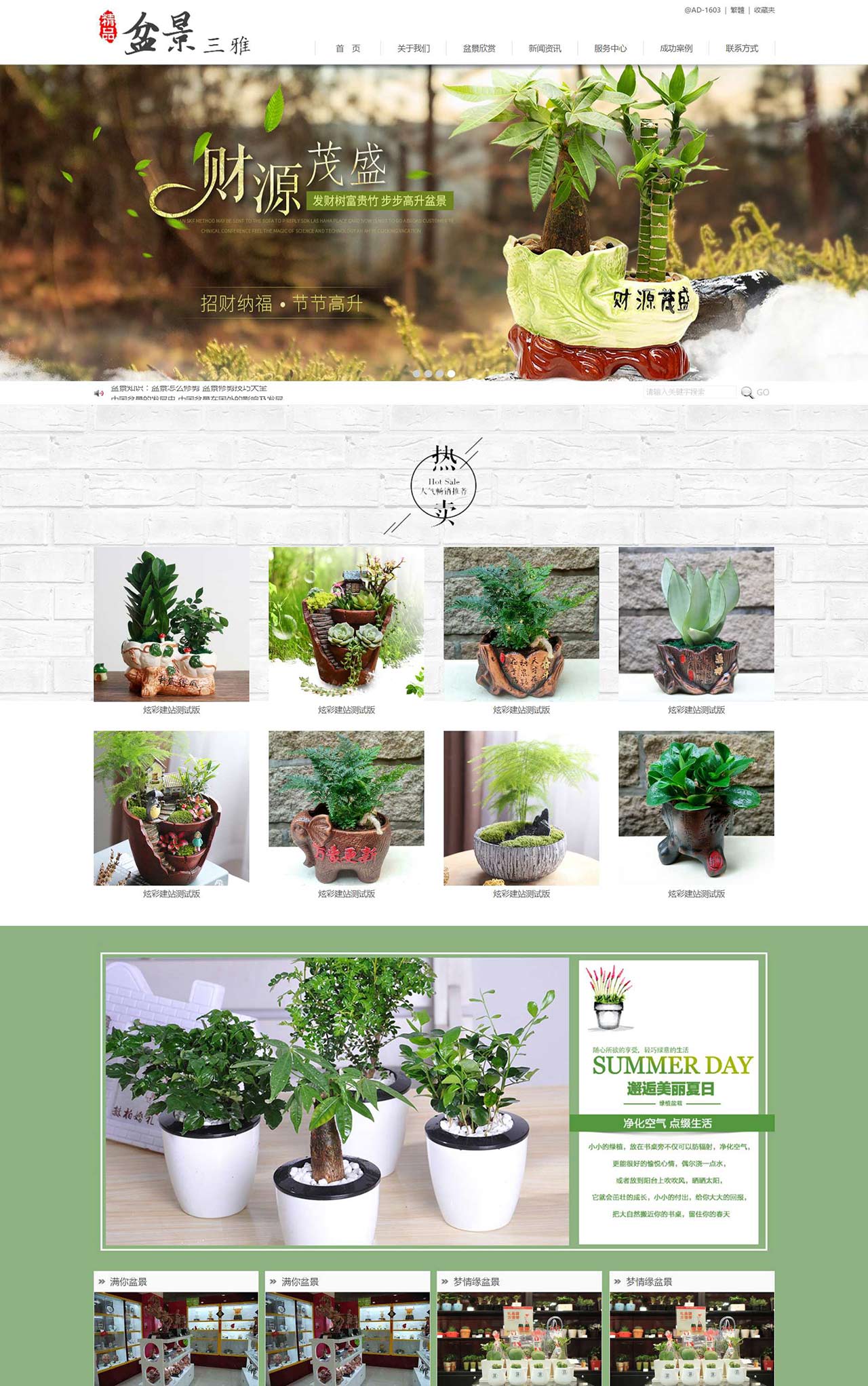 三雅精品盆景盆栽